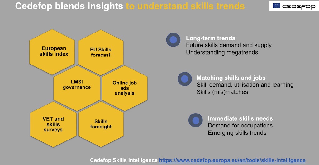 Cedefop blends insights to understand skills trends