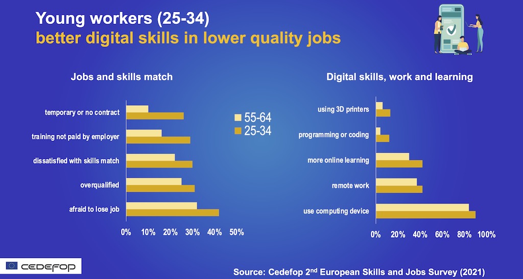 Young workers (25-34) better digital skills in lower quality jobs