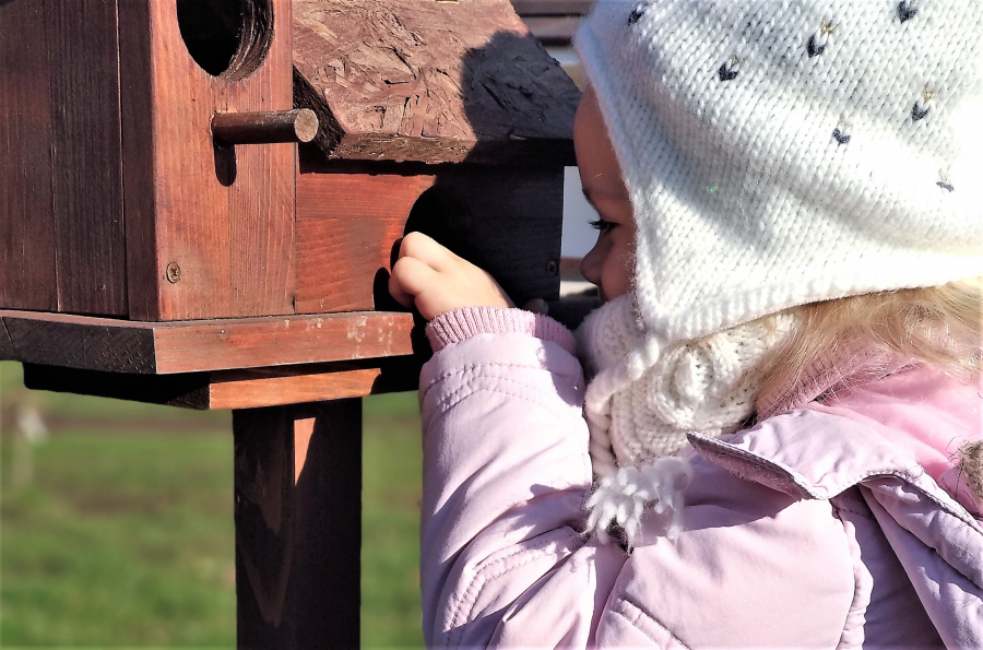 A little girl looking inside a bird feeder