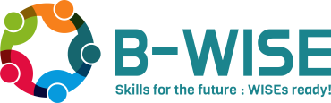 b-wise logo